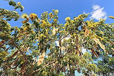 PS英国称《星刃》准确再现英国天气 总下雨让女主更美