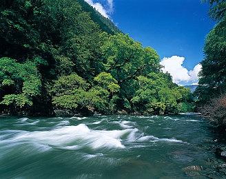 非线性推理互动小说《The List》Steam正式发售